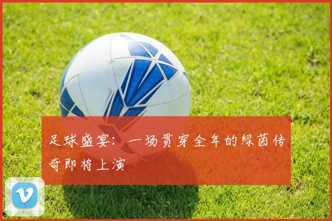 足球盛宴：一场贯穿全年的绿茵传奇即将上演