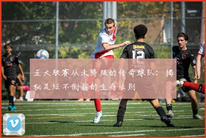 五大联赛从未降级的传奇球队：揭秘足坛不倒翁的生存法则