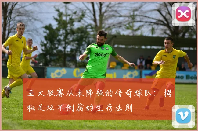 五大联赛从未降级的传奇球队:揭秘足坛不倒翁的生存法则