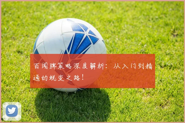 百闻牌策略深度解析：从入门到精通的蜕变之路！
